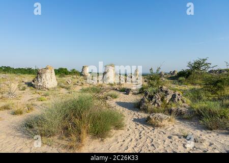 Pobiti Kamani (Steine), die auch als Steinwüste bekannt, ist eine Wüste - wie rock Phänomen auf der North West Provinz Varna Bulgarien entfernt. Stockfoto