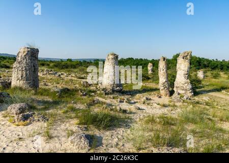 Pobiti Kamani (Steine), die auch als Steinwüste bekannt, ist eine Wüste - wie rock Phänomen auf der North West Provinz Varna Bulgarien entfernt. Stockfoto