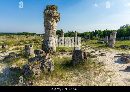 Pobiti Kamani (Steine), die auch als Steinwüste bekannt, ist eine Wüste - wie rock Phänomen auf der North West Provinz Varna Bulgarien entfernt. Stockfoto