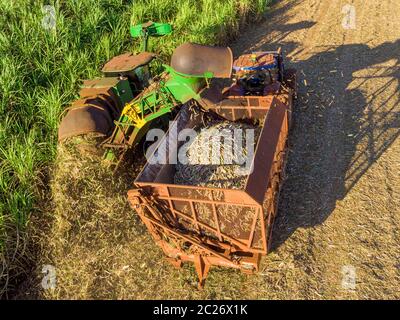 Luftbild Zuckerrohrfeld in Brasilien. Traktor arbeitet, Landwirtschaft . Stockfoto