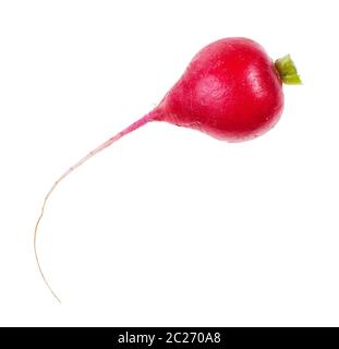 Frische Wurzel der Organischen rote Radieschen auf weißem Hintergrund Stockfoto