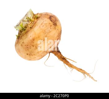 Single frische organische gelbe Rübe auf weißem Hintergrund Stockfoto