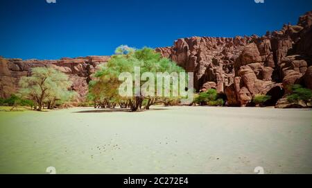 Panorama im Canyon aka Guelta d'Archei in East Ennedi, Tschad Stockfoto