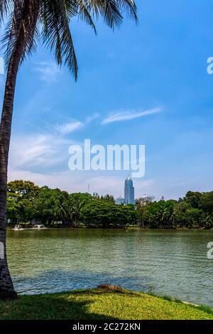 Ein Teich mit tropischer Palme, Blick auf Bangkok Wolkenkratzer vom Lumpini Stadtpark, grüne Oase in der modernen geschäftigen Stadt, Thailand Stockfoto