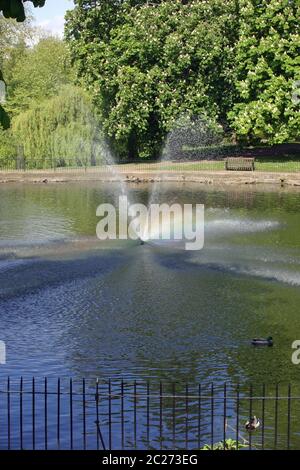 Park Teich mit Brunnen. Regenbogenfarben nur durch das Spray zu zeigen. Hintergrund der Bäume. Zaun im Vordergrund. Stockfoto