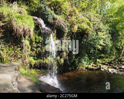 lumb Hole fällt in der Nähe von Pecket Well in calderdale im Westen yorkshire einen Wasserfall in Wald bei Crimsworth Dean Stockfoto