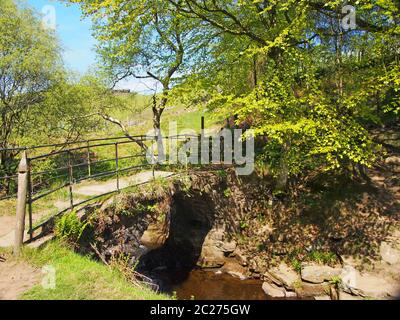 Die alte Papppferd-Brücke am Lumb Hole fällt einen Wasserfall in Wald bei Crimsworth Dean in der Nähe Pecket Well in calderdale West yorks Stockfoto