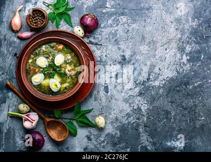 Ukrainische grüner Borschtsch. Borschtsch mit Sauerampfer und Brennnesseln. russische Küche. ukrainischen Küche. Stockfoto