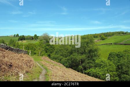 Ein schmaler Wanderweg auf hohen Moorflächen, umgeben von Weide mit Steinmauern über dem Crimsworth Dean Valley in West yorkshire Stockfoto