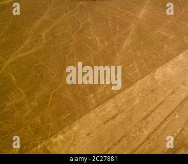 Luftflugzeug Panoramablick auf Nazca geoglyph Linien aka Fregatte Vogel und Reiher oder Flamingo , Ica, Peru Stockfoto