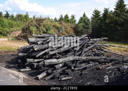 Brandstiftung am Waldrand Stockfoto