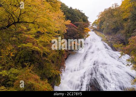 Herbst Wald am Yudaki fällt bei Nikko Tochigi in Japan Stockfoto