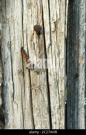 Rostige Nägel in altem Holz genagelt Stockfoto