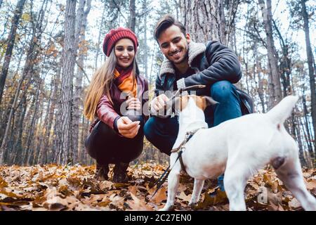 Paar von Frau und Mann spielt mit ihrem Hund in den bunten Herbst Landschaften Stockfoto