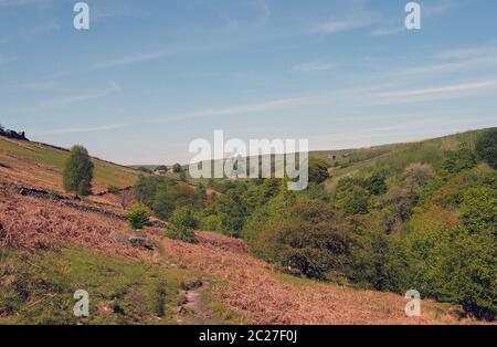 Ein Blick auf grünen Frühling Wald Baldachin in hardcastle Felsen West yorkshire aus Moor über mit sonnenbeschienenen blauen Himmel Stockfoto