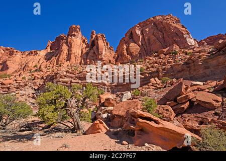 Tief in Spring Canyon im Capitol Reef National Park in Utah Stockfoto