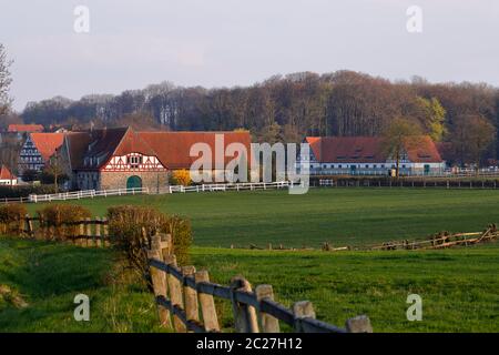 Das Gestüt Altefeld in Hessen Stockfoto