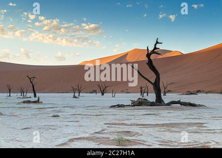 Deadvlei im Namib-Naukluft Nationalpark von Namibia Stockfoto