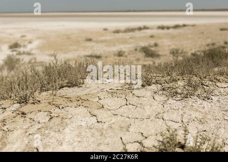 Folgen der Aral-Seekatastrophe. Sandsalzwüste auf dem Platz des ehemaligen Bodens des Aral Meeres. Stockfoto