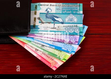 Neue Serie von gambischen Dalasi in der schwarzen Brieftasche Stockfoto