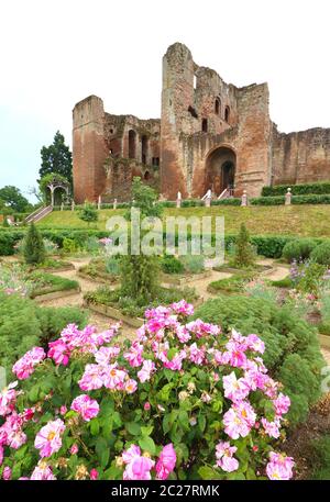 Kenilworth, Großbritannien. Juni 2020. Die Gärten von Elizabethan sind mit rosa Blumen bebildert, wenn das Kenilworth Castle wieder für die Öffentlichkeit zugänglich ist.sechs vom englischen Kulturerbe verwaltete Stätten haben diese Woche nach dem Ende des Coronavirus-Ausbruchs wieder für die Öffentlichkeit geöffnet. Kenilworth Castle und Elizabethan Gardens in Warwickshire sind einige der sechs Standorte, die ein Einbahnsystem um den gesamten Standort herum eingeführt haben, mit separaten ein- und Ausgängen sowie sozialen Distanzmarkierungen. Kredit: SOPA Images Limited/Alamy Live Nachrichten Stockfoto