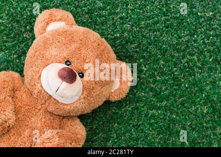 Niedliche Teddy bear Stockfoto