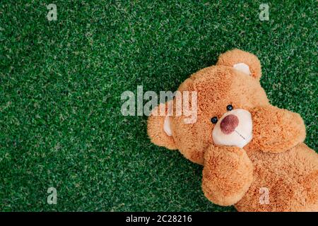 Niedliche Teddy bear Stockfoto