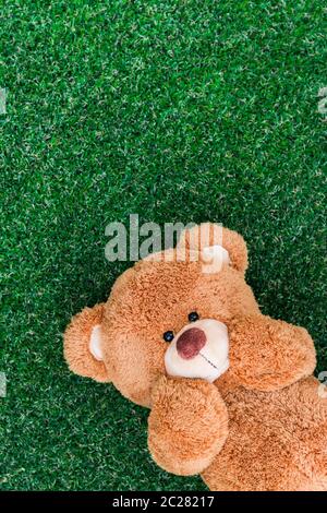 Niedliche Teddy bear Stockfoto