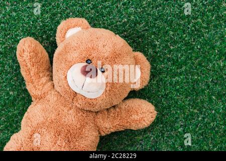 Niedliche Teddy bear Stockfoto