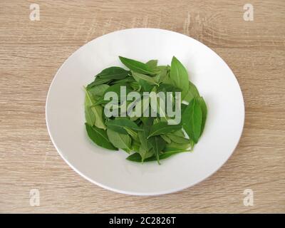 Frische Goji-Blätter auf dem Teller Stockfoto