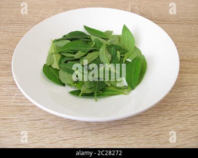 Frische Goji-Blätter auf dem Teller Stockfoto