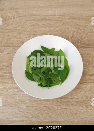 Frische Goji-Blätter auf dem Teller Stockfoto