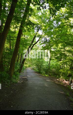 Morning Trail zum Crescent Park, Kanada 2020 Stockfoto