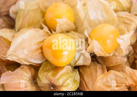 Kap Stachelbeeren (Physalis) auf Holztisch, gesundes Obst und Gemüse Stockfoto