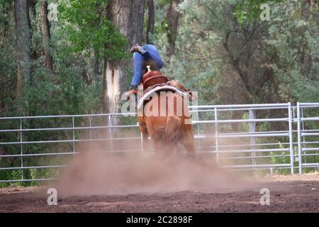 Eine junge Rider fällt von ihrem Pferdekopf über die Fersen bei einer lokalen Club Playday Horse Show im Sommer Stockfoto