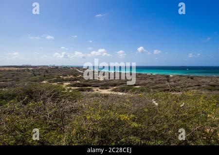 Aruba am Arashi Beach auf den ABC-Inseln Stockfoto