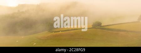 Morgendämmerung in der Kampagne in Burgund, mit Nebel auf den Feldern Stockfoto