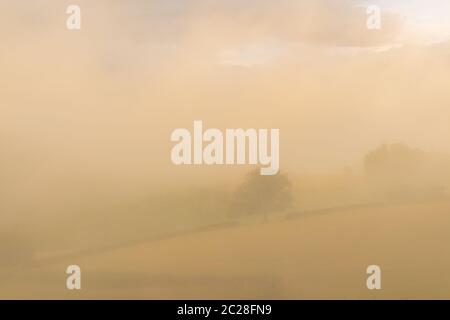 Morgendämmerung in der Kampagne in Burgund, mit Nebel auf den Feldern Stockfoto