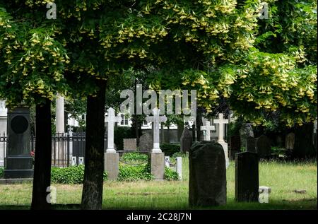 Berlin, Deutschland. Juni 2020. Der 1748 erbaute Friedhof für Invaliden ist ein Zeugnis der preußischen und deutschen Militärgeschichte und der Befreiungskriege. Hier fanden auch Zivilisten ihre letzte Ruhestätte. Es wurde 1950 geschlossen. Aufgrund der historischen und kulturellen Bedeutung des gesamten Komplexes und einzelner Grabdenkmäler ist der Invalidenfriedhof als Gartendenkmal gelistet. Quelle: Jens Kalaene/dpa-Zentralbild/ZB/dpa/Alamy Live News Stockfoto