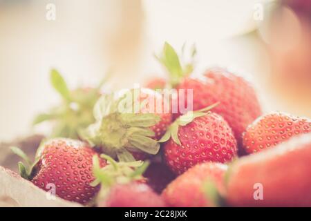 Sommerzeit: Frische rote Erdbeeren in einer Tasse, Holztisch Stockfoto