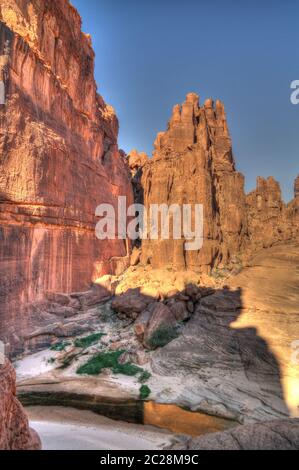 Panorama im Canyon aka Guelta d'Archei in East Ennedi, Tschad Stockfoto