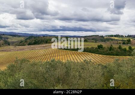Landschaft um Monteriggioni, Italien Stockfoto