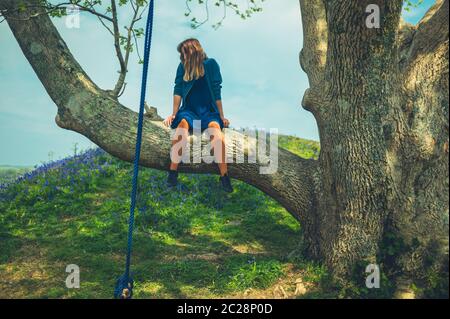 Eine junge Frau sitzt an einem sonnigen Frühlingstag in einem Baum mit einer Seilschaukel Stockfoto