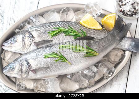 Frischer Seebarsch mit Rosmarin und Kalk Keile auf dem Metallauflagefach Stockfoto