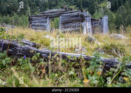 Idyllische Berglandschaft in den alpen: Ruine eines Chalets, Wiesen und Wald Stockfoto