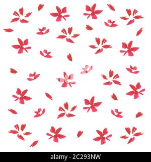 Rote Aquarellblumen mit Blütenblättern isoliert auf weißem Hintergrund Stockfoto