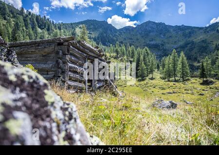 Idyllische Berglandschaft in den alpen: Ruine eines Chalets, Wiesen und Wald Stockfoto