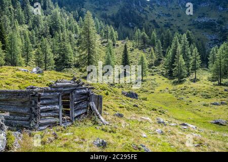 Idyllische Berglandschaft in den alpen: Ruine eines Chalets, Wiesen und Wald Stockfoto