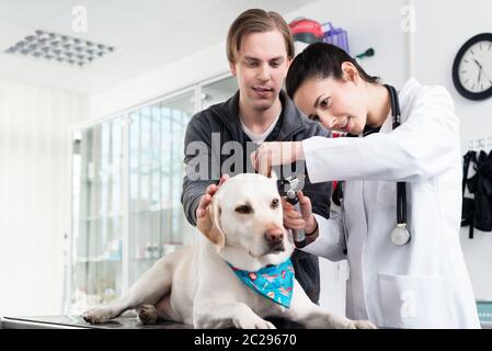 Tierärztin Untersuchung Ohr des Hundes mit Otoskop in der Tierarztpraxis Stockfoto