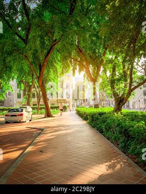 Pfad im Park neben der Straße in der Stadt. Grüner Baum im Garten am Morgen. Parkplätze für Mietwagen in Singapur. Ein Mann auf dem Weg. Urb. Stockfoto